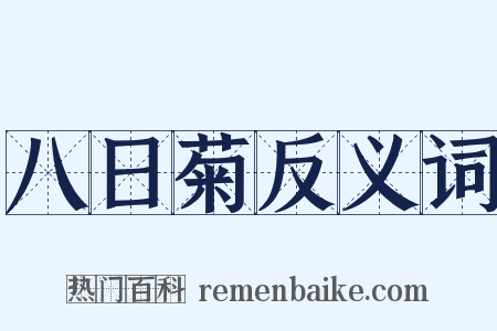 八日菊反义词是什么意思的图片